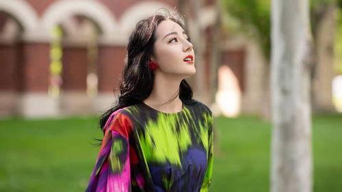 成毅赵露思娱乐大爆料,幕后故事与精彩瞬间