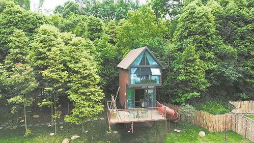 林间小屋在线观看