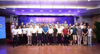 最新一周年爆料新闻报道,最新爆料带你回顾一年辉煌历程