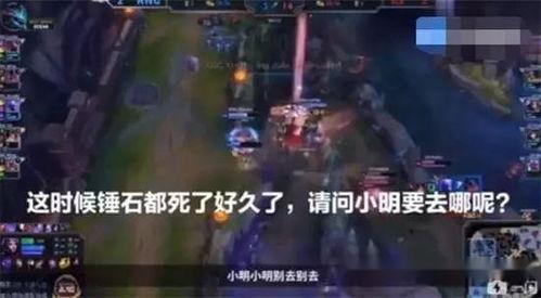 黑龙爆料假拳视频完整版