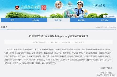 ppmoney最新爆料,揭秘金融科技巨头背后的秘密与挑战”