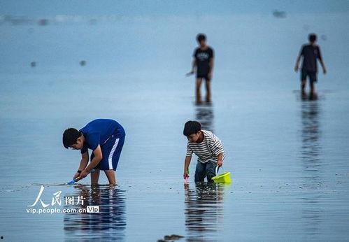 海南赶海爆料事件视频大全,揭秘海滩奇观与民间传说