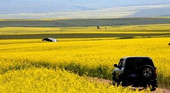 春风自驾游爆料视频大全,全景式视频大全带你畅游四季美景