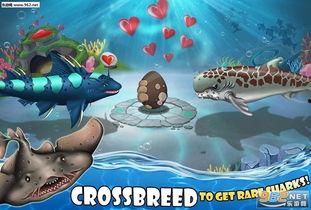 鲨鱼套最新爆料,最新爆料背后的惊人真相