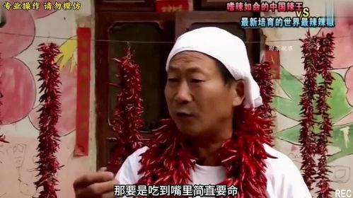 中国辣王被爆料视频播放,辣味视频引爆网络