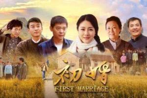 初婚电视剧在线观看,爱情与现实的交织