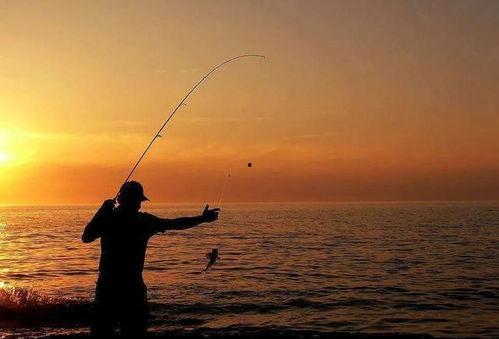 爆料钓鱼真相大全最新,揭秘常见骗局与防范攻略