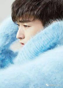 二虎爆料李婷婷视频大全,揭秘背后真相与争议