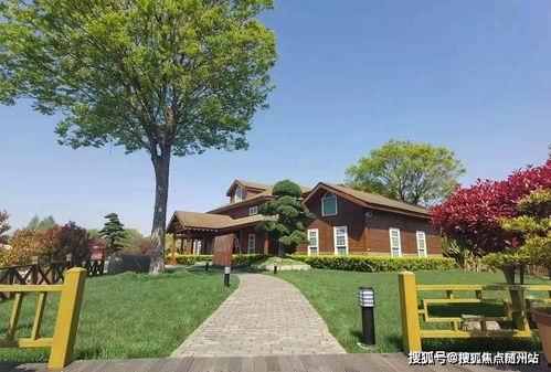 淄博民宿爆料最新消息查询,揭秘热门民宿背后的故事与魅力