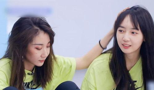 王佳怡最新爆料,揭秘娱乐圈惊人内幕