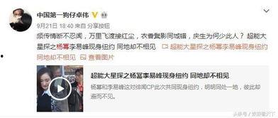卓伟爆料杨幂最新,卓伟独家爆料揭秘！
