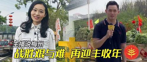 梅州最新爆料事件新闻视频,事件视频揭露惊人真相，引发社会关注