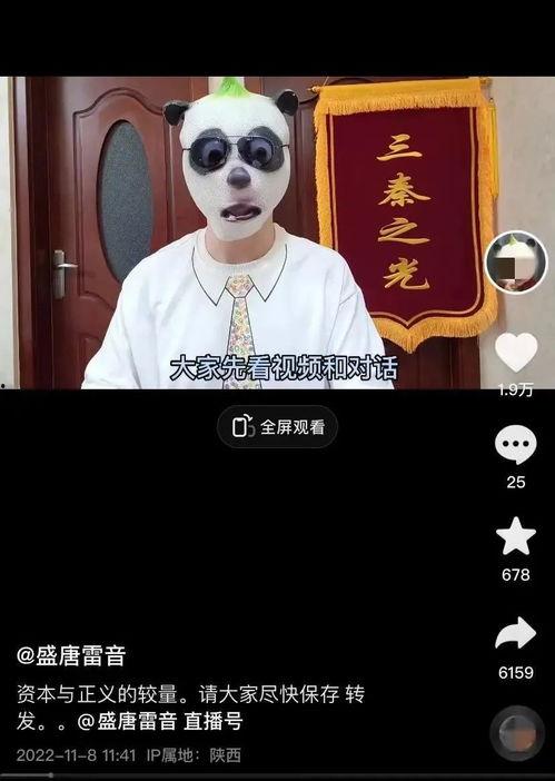 盛唐雷音爆料视频大全,揭秘唐朝盛世背后的传奇故事