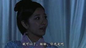 东西宫略粤语在线观看,穿越时空的宫廷传奇